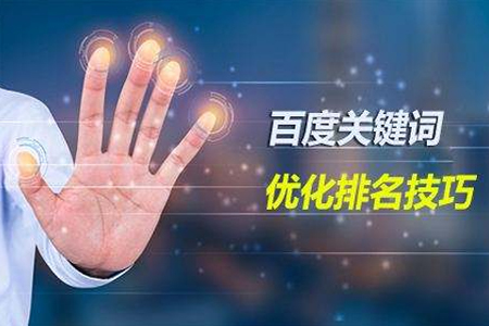 搜索,搜索優(yōu)化,網站排名,網站降權