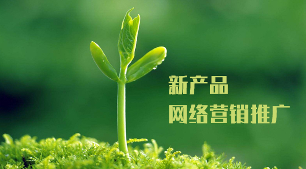 新產(chǎn)品推廣方案,網(wǎng)絡(luò)推廣解決方案
