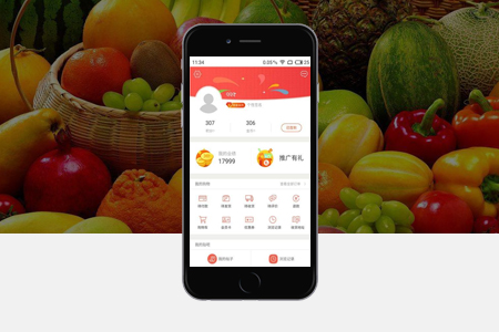 嘉定APP開(kāi)發(fā) 嘉定APP開(kāi)發(fā)